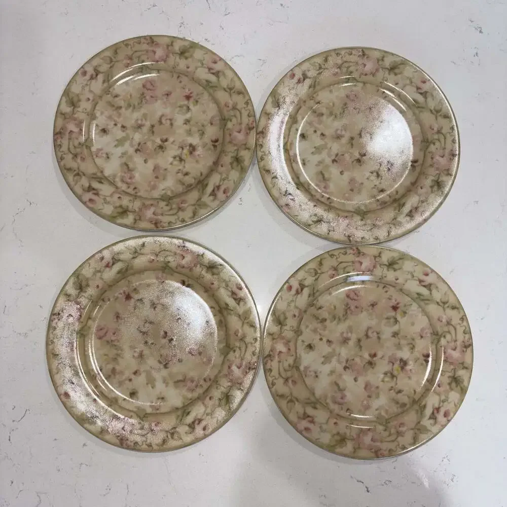 222 Fifth Savannah by Cheri Blum Stoneware Salad Plates Set of 4